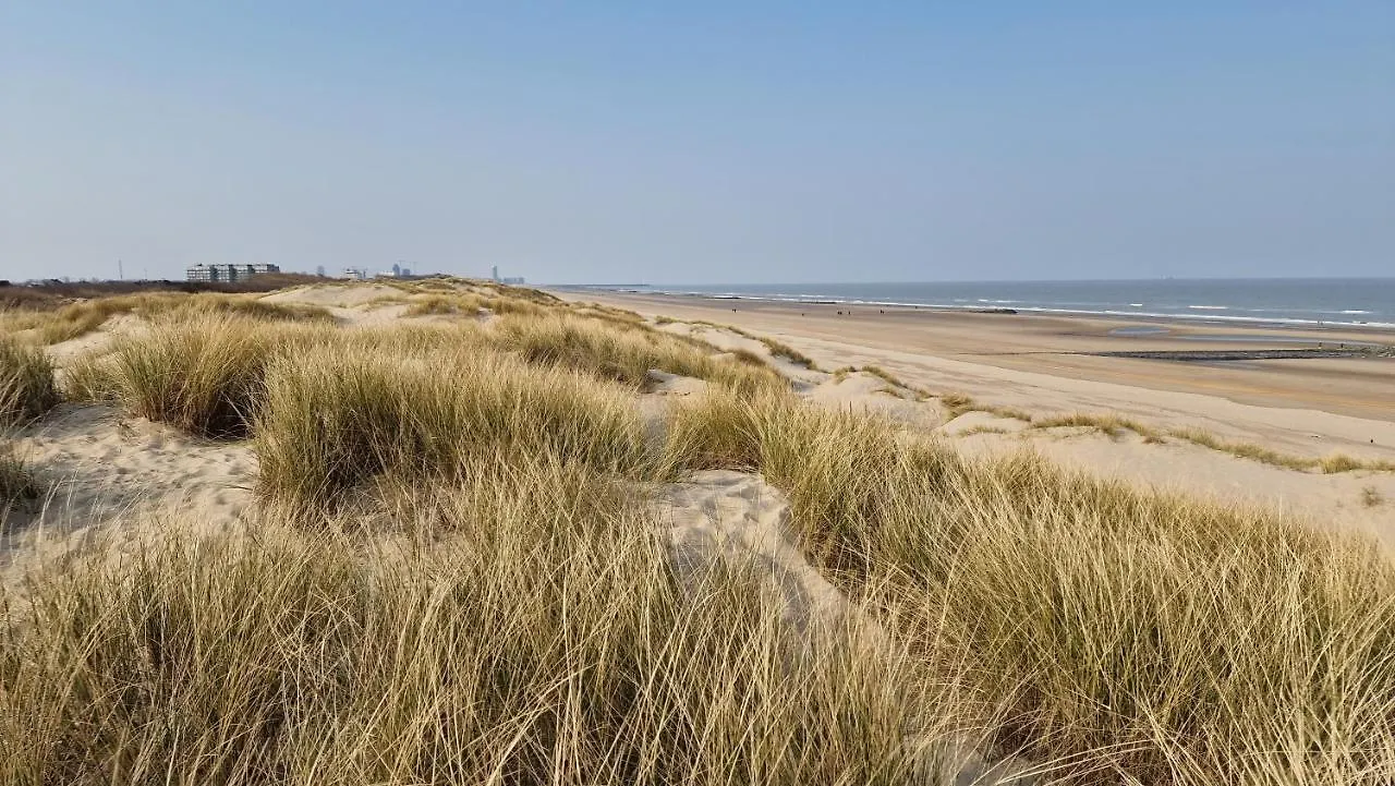 Vakantie Appartement Bepinay15 Bredene 0*,  Belgium